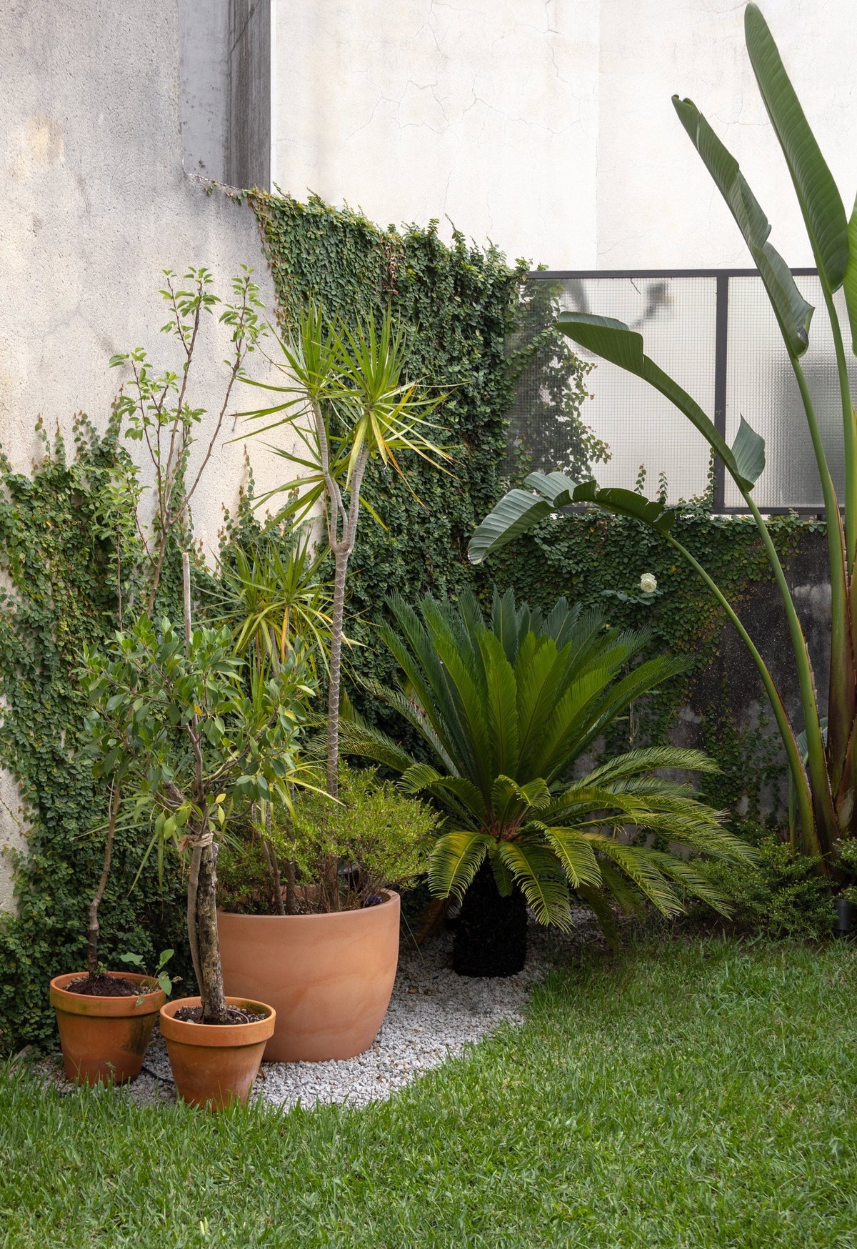 From Vases to Verses: Belo Barro Negro by Jorge Braga