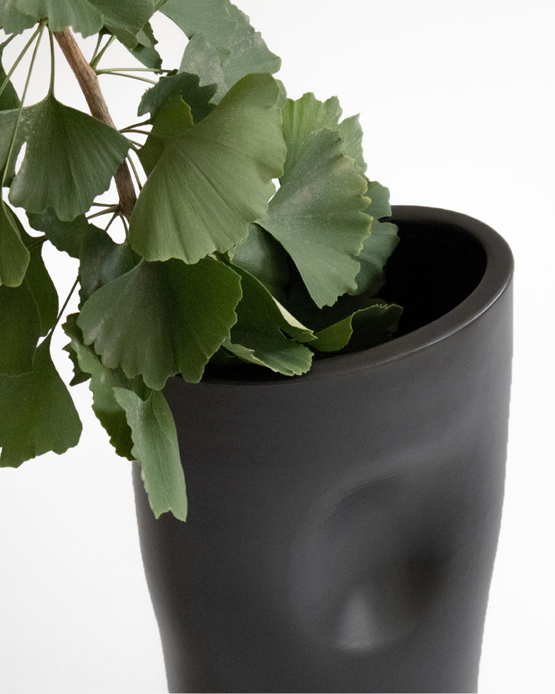 Portal Vases